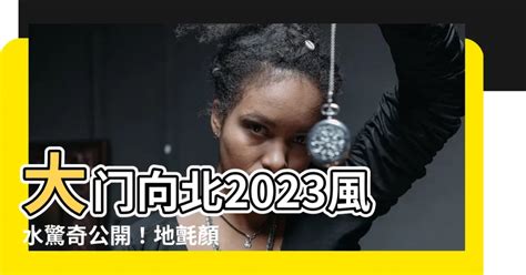 2023兔年大門地氈顏色